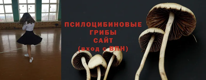 Псилоцибиновые грибы Magic Shrooms  Неман 